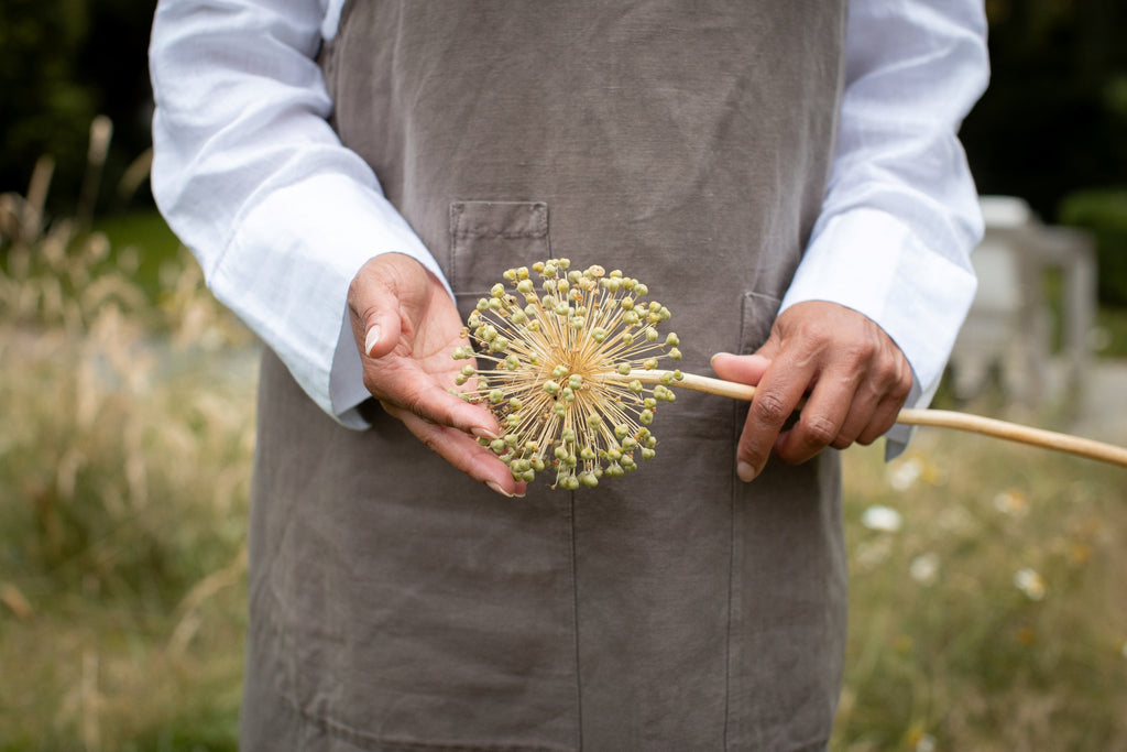 Women in a brown linen apron, gently holding an Alium seed head