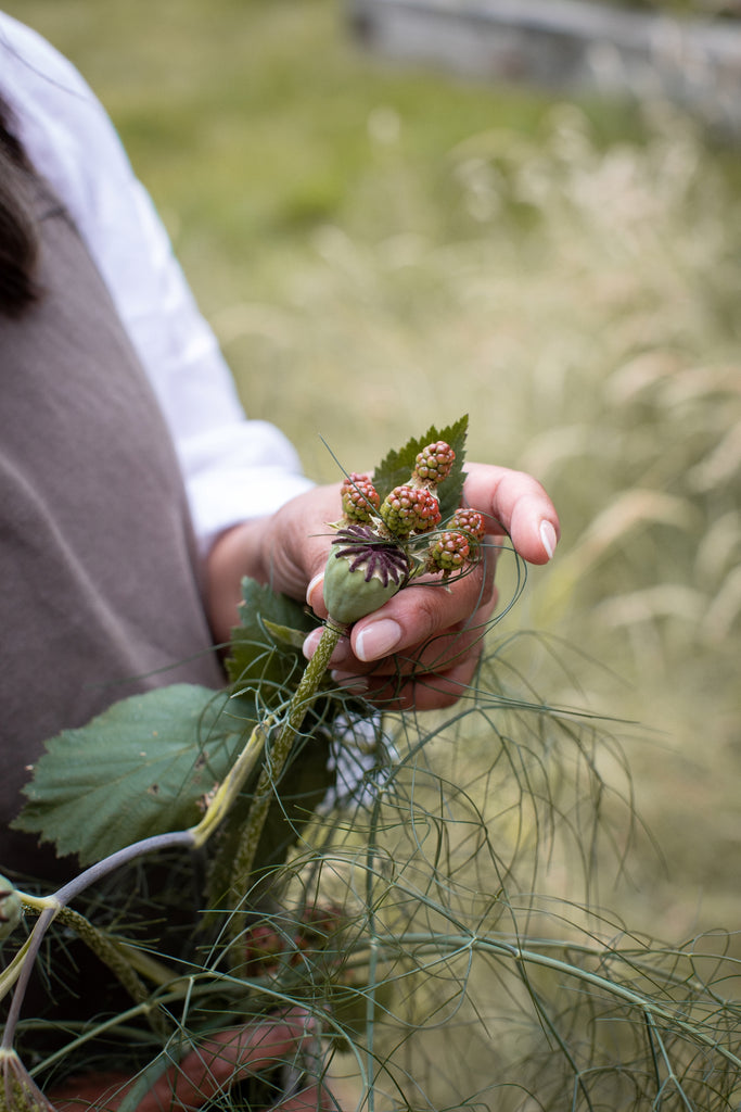 Women holding a stem of blackberries, poppy seed head and fennel fronds